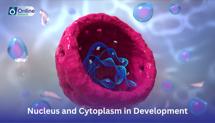 Lesson 07: Role of Nucleus and Cytoplasm in Development
